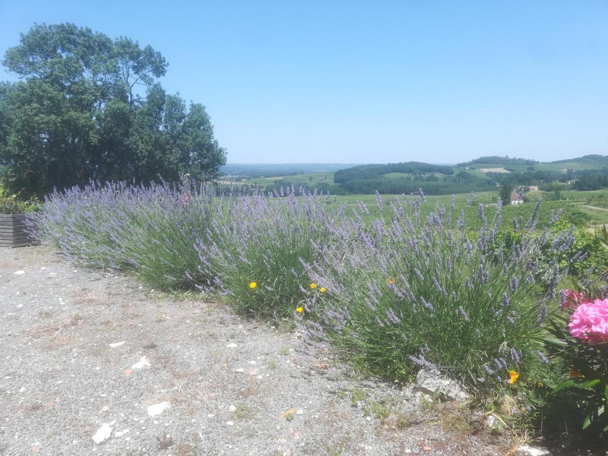 Les Vignes Villa Pomport Exteriör bild